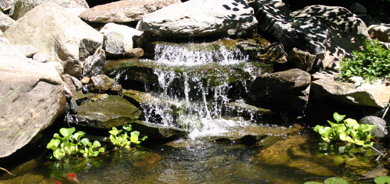 Fish Ponds and Waterfalls